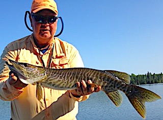 Tiger Muskie Fishing by Bll at Fireside Lodge in Canada